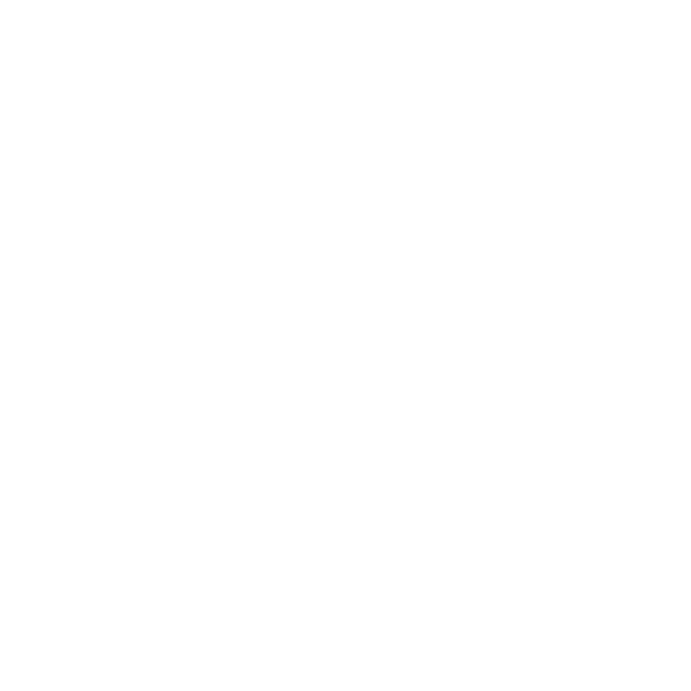 Cashiology Logo White